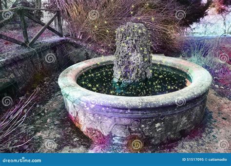Delphinikm's Magic Fountains: A Captivating Water Wonderland